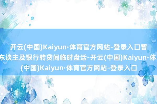 开云(中国)Kaiyun·体育官方网站-登录入口暂借用于归赵外部债权东谈主及银行转贷间临时盘活-开云(中国)Kaiyun·体育官方网站-登录入口