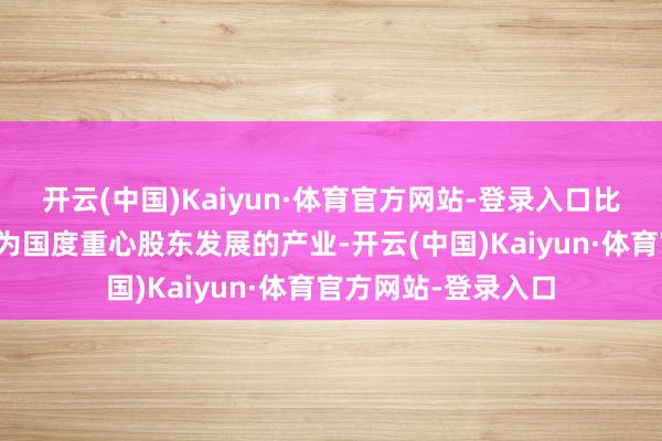 开云(中国)Kaiyun·体育官方网站-登录入口比如低空经济还是成为国度重心股东发展的产业-开云(中国)Kaiyun·体育官方网站-登录入口