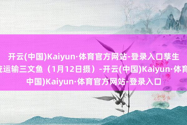 开云(中国)Kaiyun·体育官方网站-登录入口孳生工船上的自动化系统运输三文鱼（1月12日摄）-开云(中国)Kaiyun·体育官方网站-登录入口