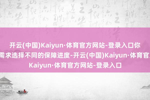 开云(中国)Kaiyun·体育官方网站-登录入口你可以字据我方的需求选择不同的保障进度-开云(中国)Kaiyun·体育官方网站-登录入口