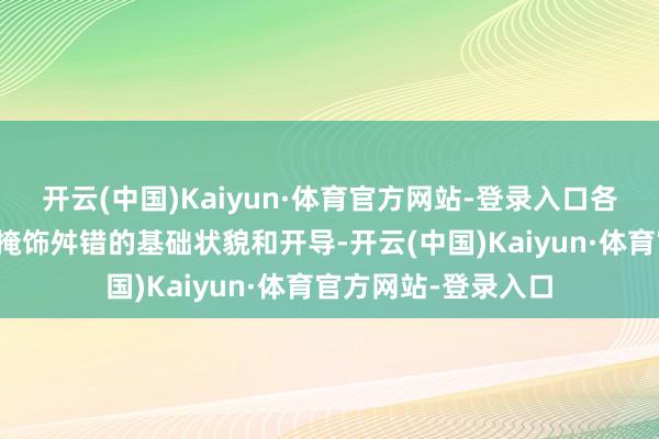 开云(中国)Kaiyun·体育官方网站-登录入口各邦还被条目用迷彩掩饰舛错的基础状貌和开导-开云(中国)Kaiyun·体育官方网站-登录入口